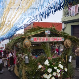 Una carreta parada, con la decoración de la calle El Sol en Los Realejos, decorada con muchas plantas y flores de distintos tipos.